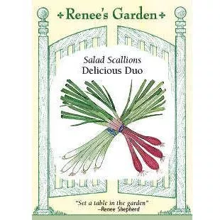 delicious-duo-salad-scallion-seeds ‘Delicious Duo’ Salad Scallion Seeds