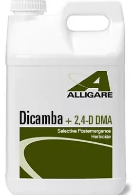 dicamba-plus-2-4-d-herbicide-2-5-gallons Dicamba Plus 2,4-D Herbicide -2.5 gallons