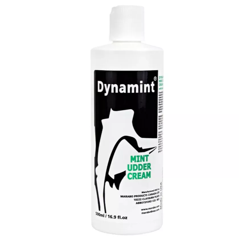 dynamint-500-ml Dynamint 500 ml