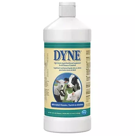 dyne-high-calorie-supplement Dyne High Calorie Supplement