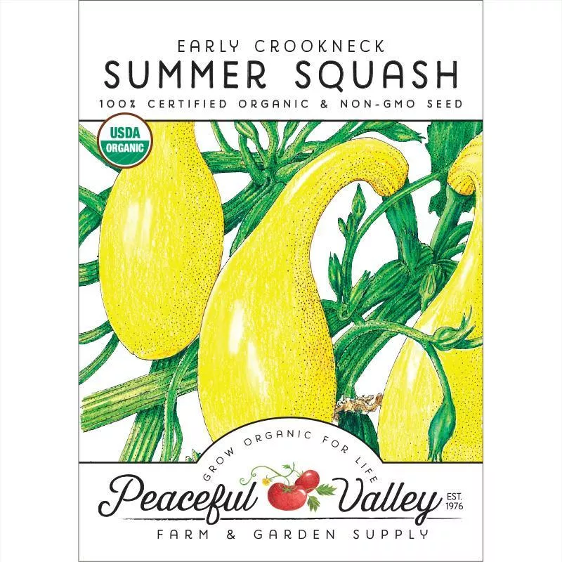 early-crookneck-summer-squash-seeds-organic Early Crookneck Summer Squash Seeds (Organic)