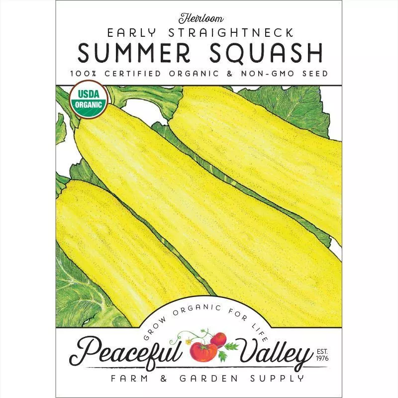 early-straightneck-summer-squash-seeds-organic Early Straightneck Summer Squash Seeds (Organic)