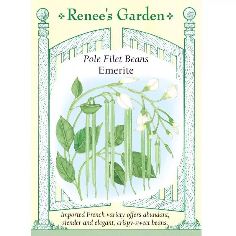 emerite-pole-filet-bean-seeds ‘Emerite’ Pole Filet Bean Seeds