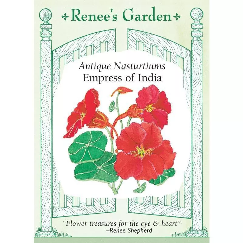 empress-india-heirloom-nasturtium-seeds ‘Empress of India’ Heirloom Nasturtium Seeds