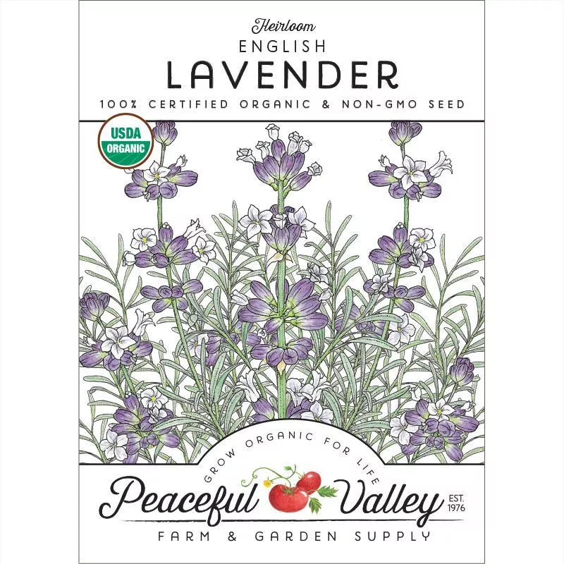 english-vera-lavender-seeds-organic English-Vera Lavender Seeds (Organic)