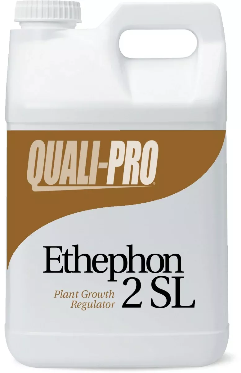 ethephon-2sl-growth-regulator-jug-2-5-gal Ethephon 2SL Growth Regulator jug (2.5 gal)