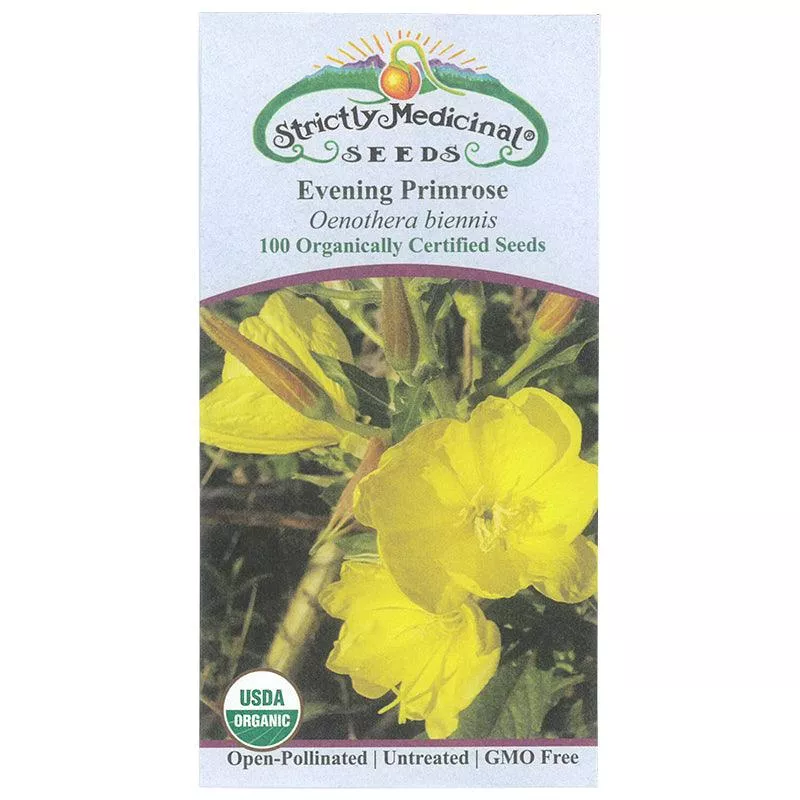 evening-primrose-flower-seeds-organic Evening Primrose Flower Seeds (Organic)