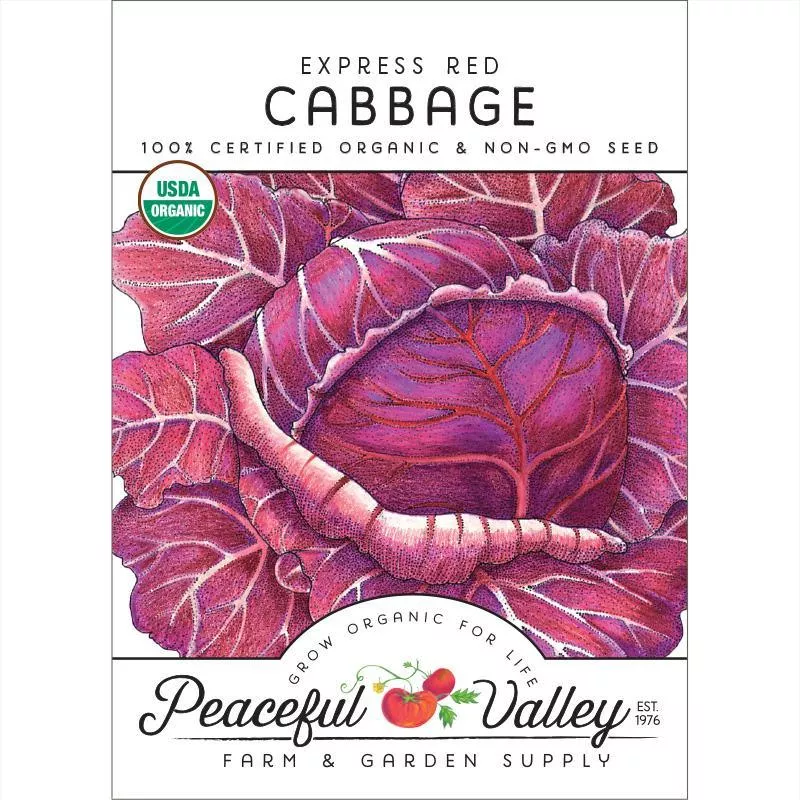 express-red-cabbage-seeds-organic Express Red Cabbage Seeds (Organic)