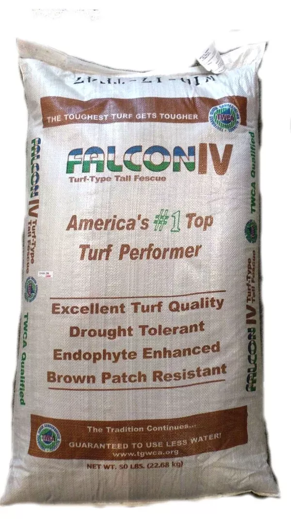 falcon-iv-turf-type-tall-fescue-grass-seeds Falcon IV Turf Type Tall Fescue Grass Seeds