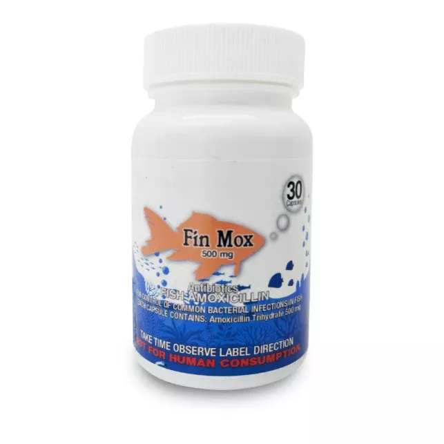 fin-moxfish-amoxicllin Fin MoxFish Amoxicllin