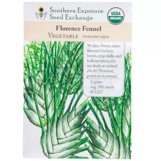 florence-fennel-seeds-organic Florence Fennel Seeds (Organic)