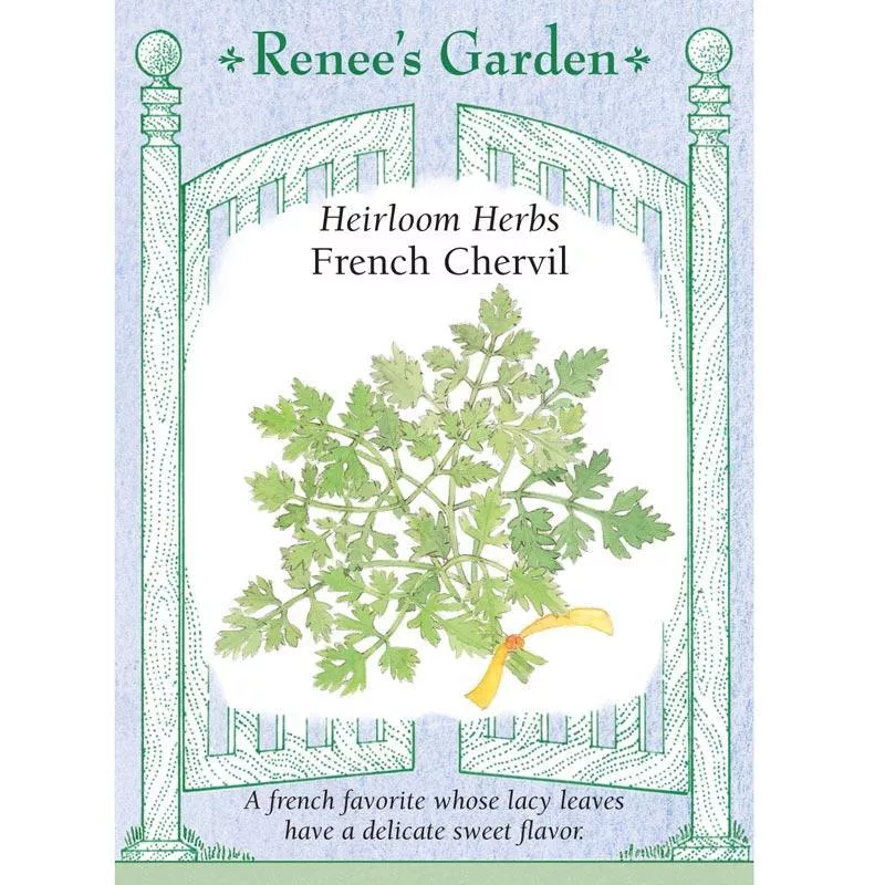 french-chervil-heirloom-herb-seeds ‘French Chervil’ Heirloom Herb Seeds