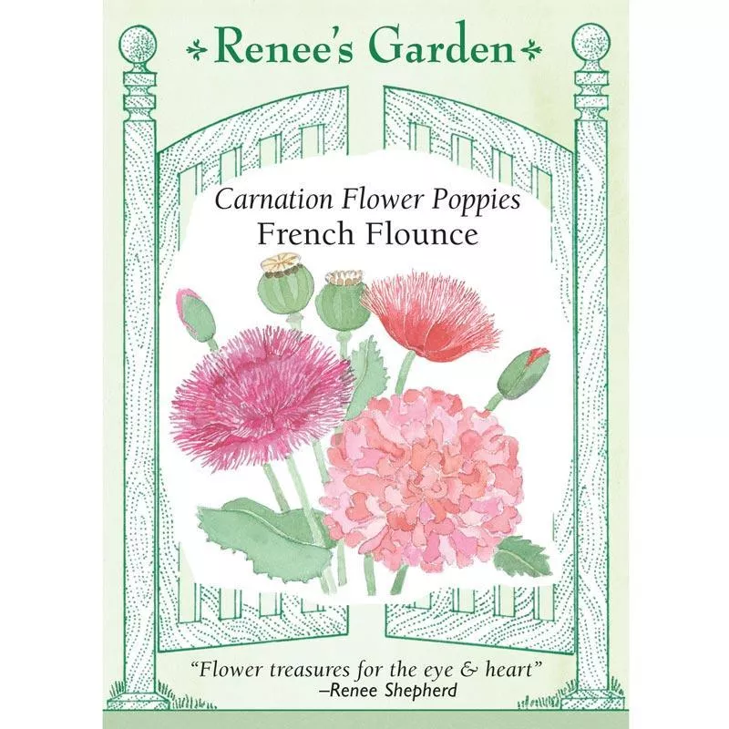 french-flounce-heirloom-carnation-poppy-seeds ‘French Flounce’ Heirloom Carnation Poppy Seeds