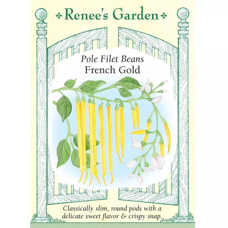 french-gold-filet-pole-bean-seeds French Gold Filet Pole Bean Seeds