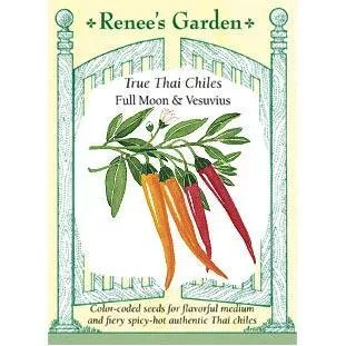 full-moon-vesuvius-true-thai-chile-seeds ‘Full Moon & Vesuvius’ True Thai Chile Seeds