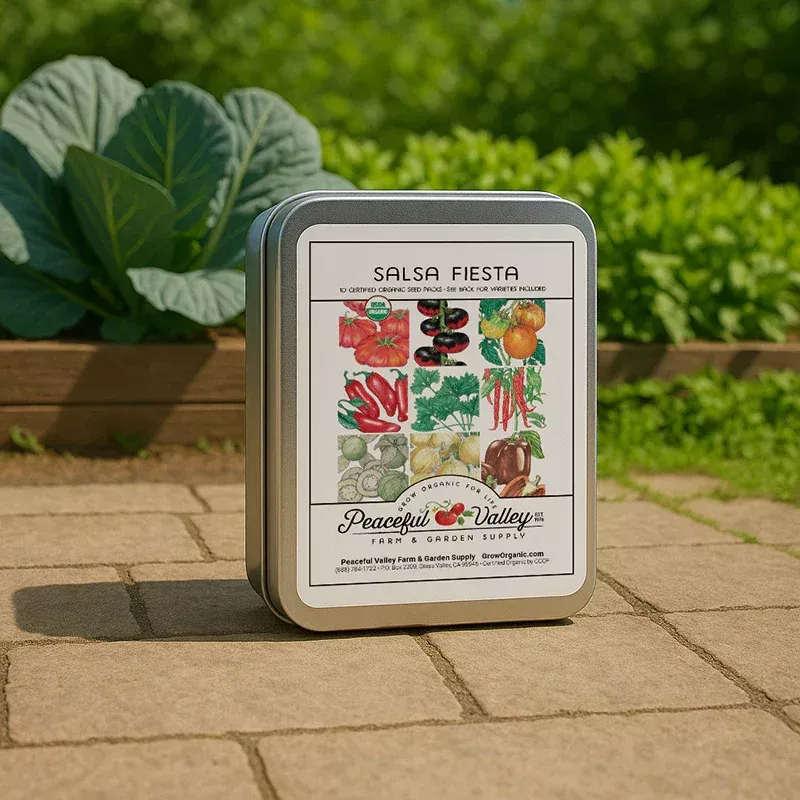 Gift Seed Tin - Salsa Fiesta Collection