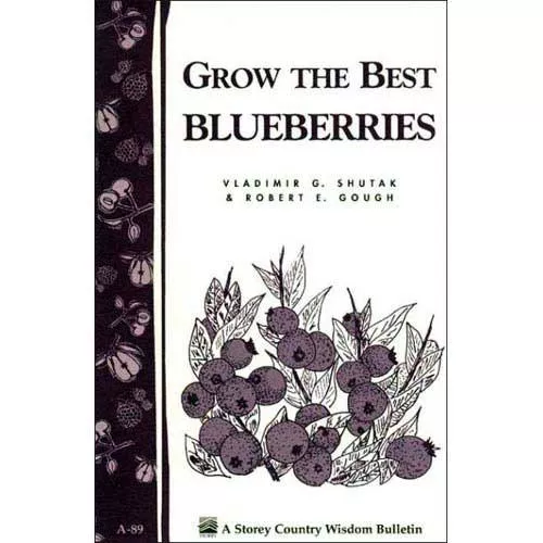 grow-best-blueberries Grow the Best Blueberries