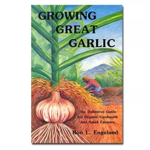 Growing Great Garlic