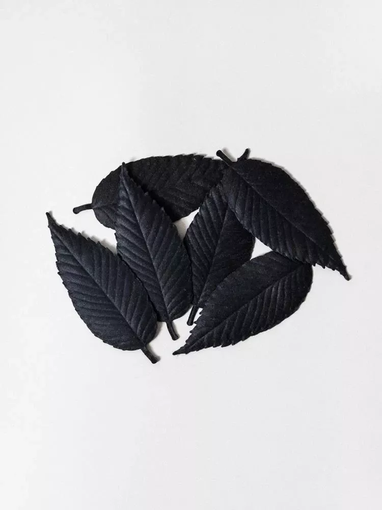 ha-ko-paper-incense-black-set-6-focus HA KO Paper Incense – Black, Set Of 6 (Focus)