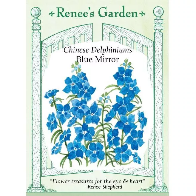 heirloom-blue-mirror-chinese-delphinium-seeds ‘Heirloom Blue Mirror’ Chinese Delphinium Seeds