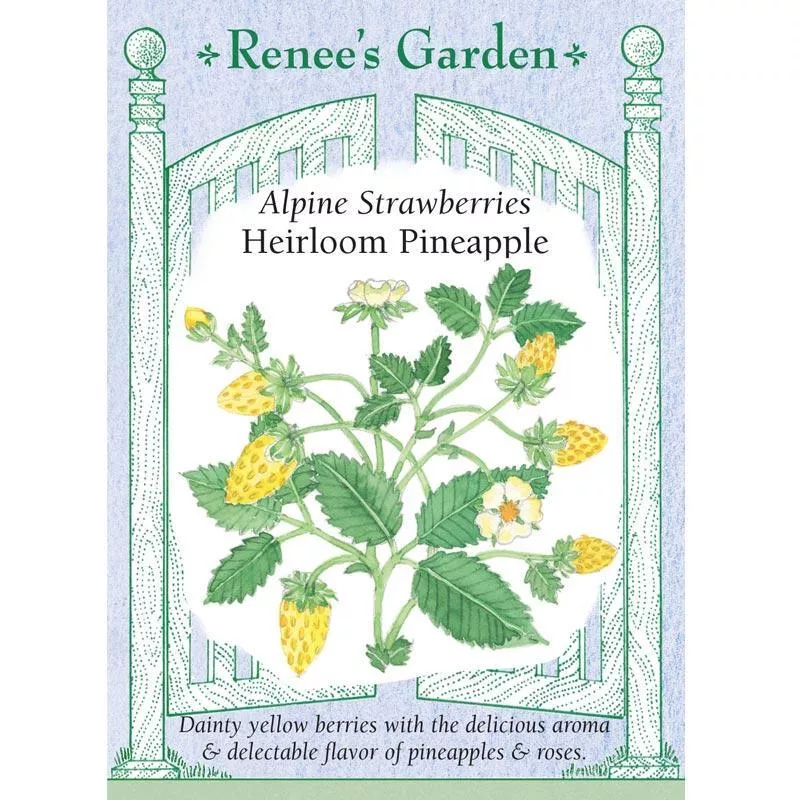 heirloom-pineapple-alpine-strawberry-seeds ‘Heirloom Pineapple’ Alpine Strawberry Seeds