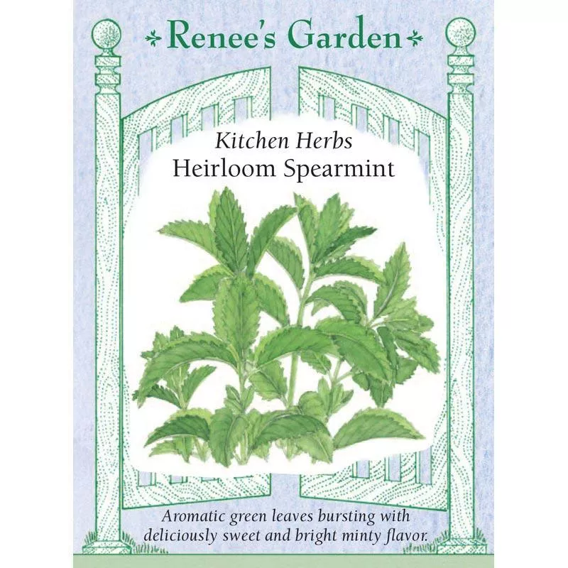 heirloom-spearmint-kitchen-herb-seeds ‘Heirloom Spearmint’ Kitchen Herb Seeds