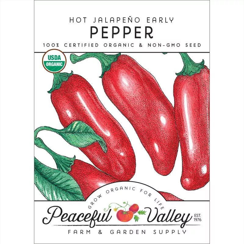 hot-jalapeno-early-pepper-seeds-organic Hot Jalapeno Early Pepper Seeds (Organic)