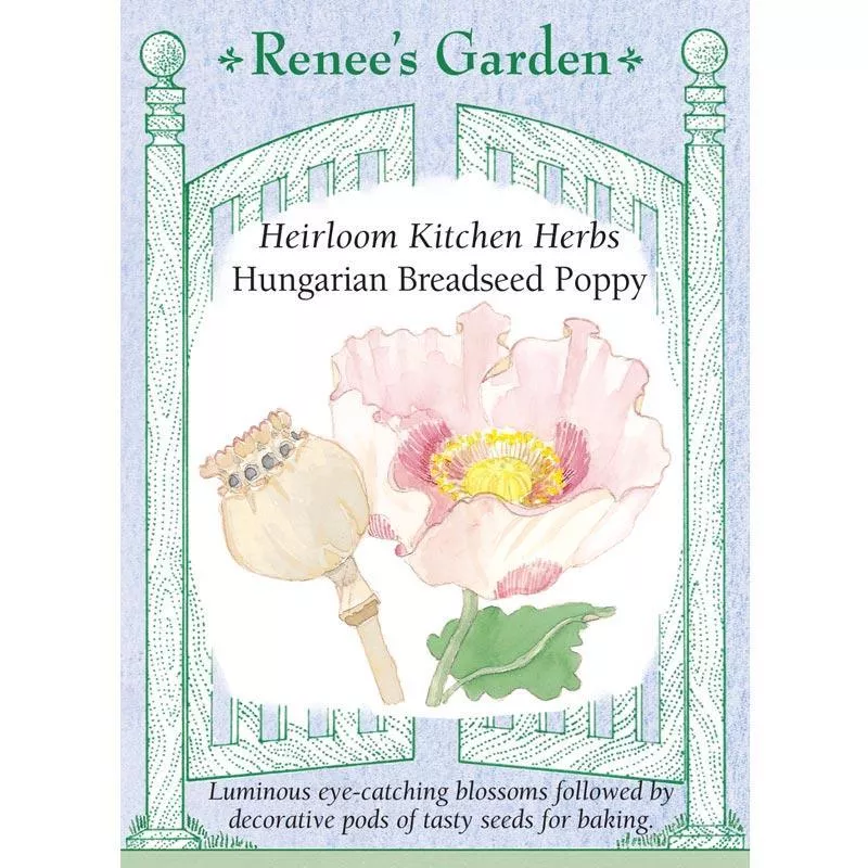 hungarian-breadseed-poppy-heirloom-kitchen-herb-seeds ‘Hungarian Breadseed Poppy’ Heirloom Kitchen Herb Seeds