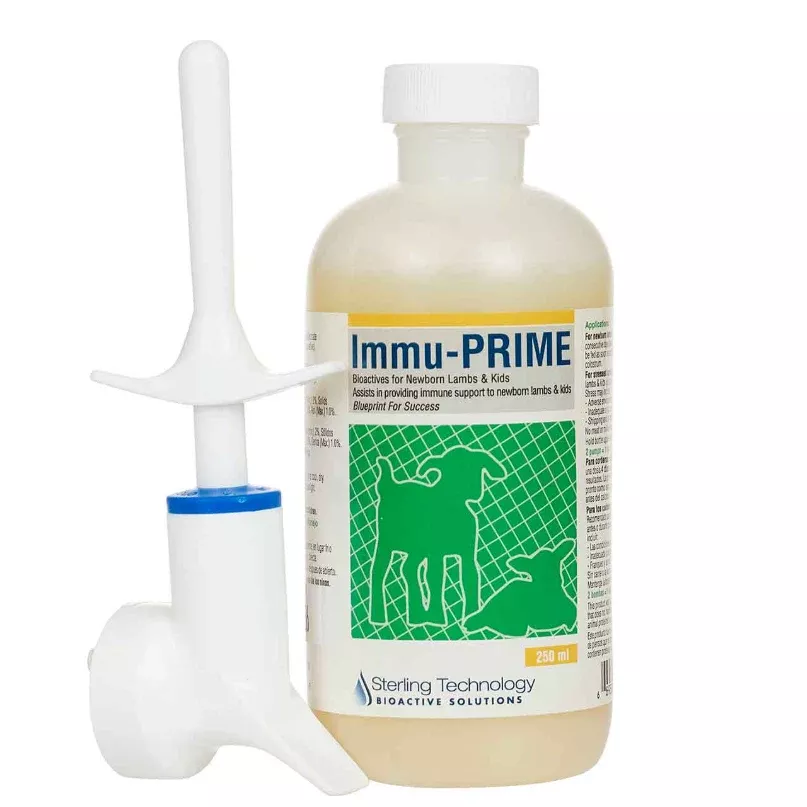 immu-prime-newborn-lambs-kids Immu-Prime for Newborn Lambs and Kids
