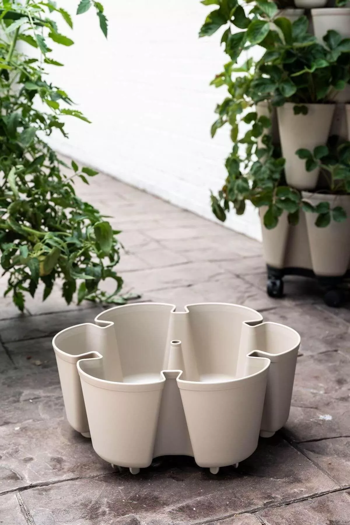 individual-leaf-planter-stunning-stone-basic-texture Individual Leaf Planter | Stunning Stone (Basic Texture)