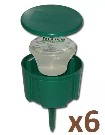 intice-gelanimo-ant-bait-gel-cups-stations-6-each InTice Gelanimo Ant Bait Gel Cups and Stations - 6 each