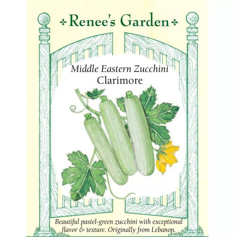 ishtar-middle-eastern-zucchini-seeds ‘Ishtar’ Middle Eastern Zucchini Seeds
