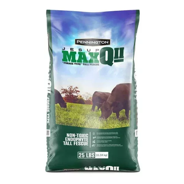 jesup-max-q-11-tall-fescue-grass-seed Jesup Max Q 11 Tall Fescue Grass Seed
