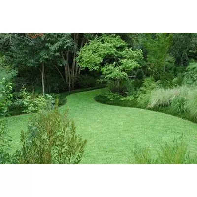 kentucky-31-tall-fescue-grass-seed Kentucky 31 Tall Fescue Grass Seed