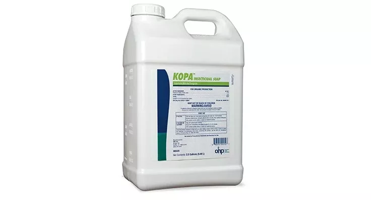 kopa-insecticidal-soap-jug-2-5-gal Kopa Insecticidal Soap jug (2.5 gal)