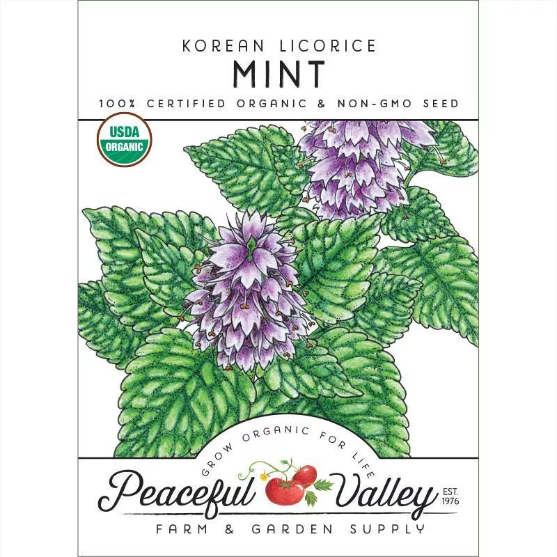 korean-licorice-mint-seeds-organic Korean Licorice Mint Seeds (Organic)