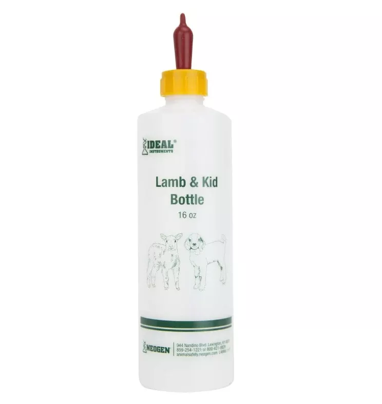 lamb-kid-bottle-16-oz-w-nipple Lamb & Kid Bottle 16 oz w/nipple