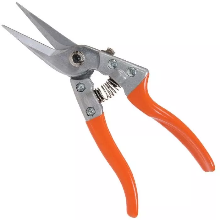 leonard-straight-blade-pruning-shears-8-625-inch-length Leonard Straight Blade Pruning Shears, 8.625-inch Length