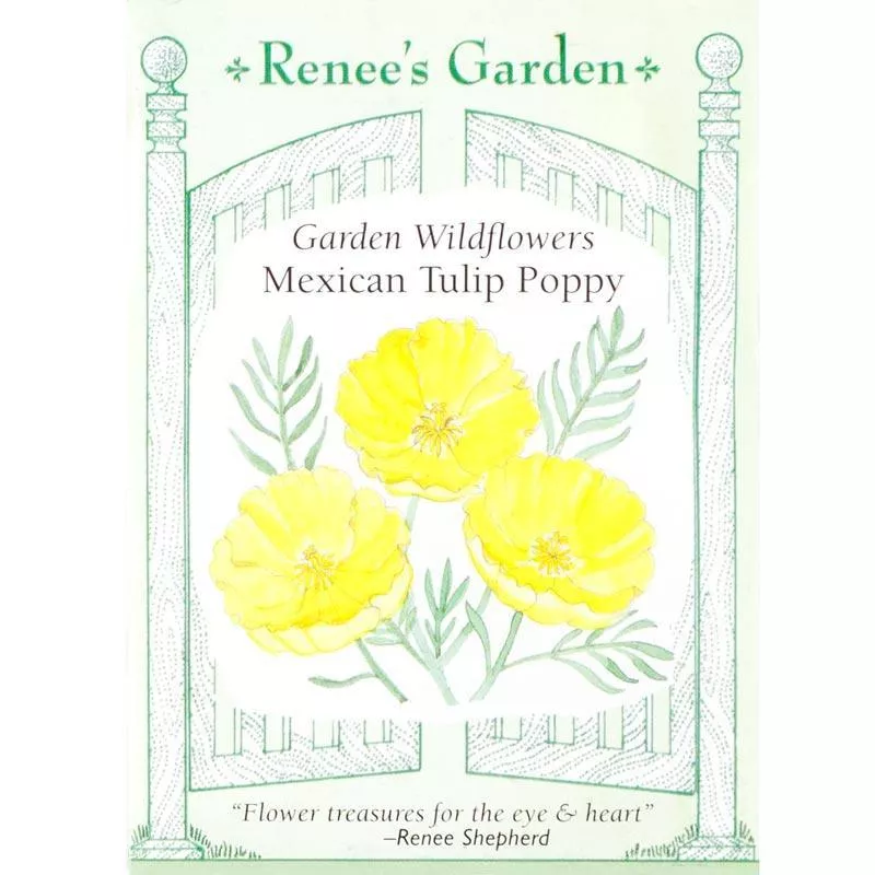 mexican-tulip-poppy-heirloom-butterfly-flower-seeds ‘Mexican Tulip Poppy’ Heirloom Butterfly Flower Seeds