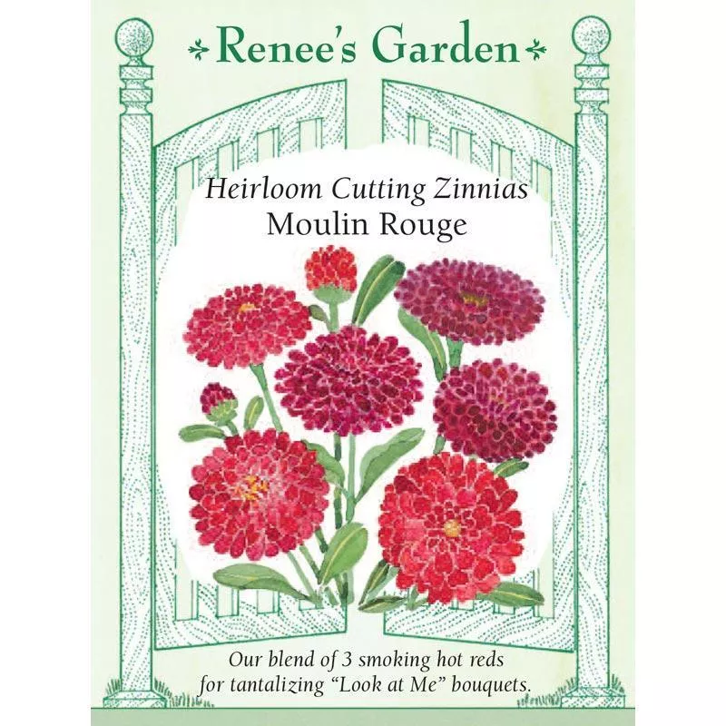 moulin-rouge-heirloom-cutting-zinnia-seeds ‘Moulin Rouge’ Heirloom Cutting Zinnia Seeds