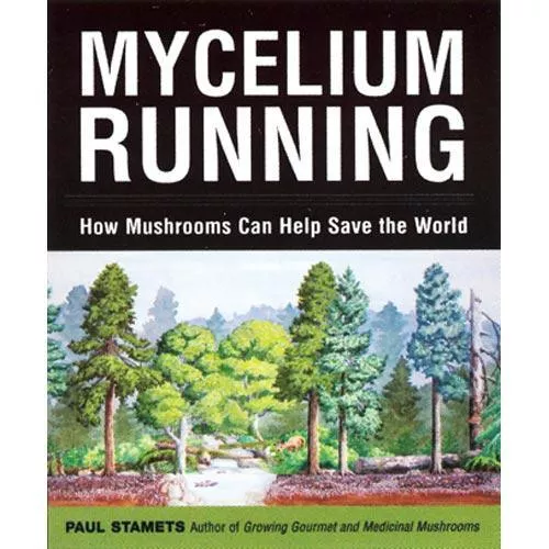 mycelium-running-how-mushrooms-can-help-save-world Mycelium Running: How Mushrooms Can Help Save the World