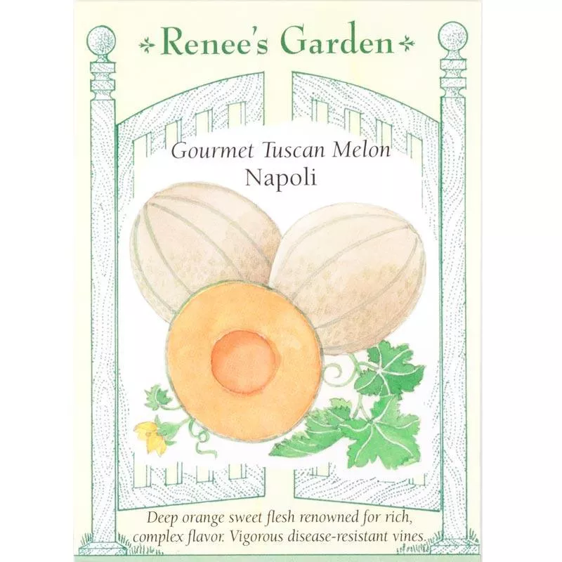 napoli-gourmet-tuscan-melon-seeds ‘Napoli’ Gourmet Tuscan Melon Seeds