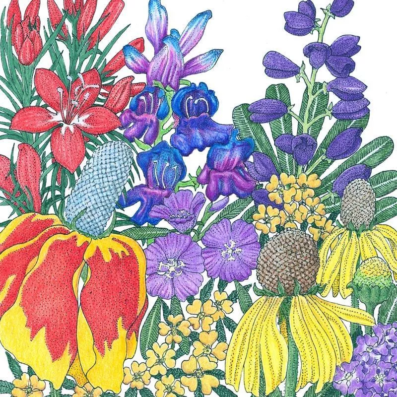 north-american-perennial-wildflower-mix-lb North American Perennial Wildflower Mix (lb)