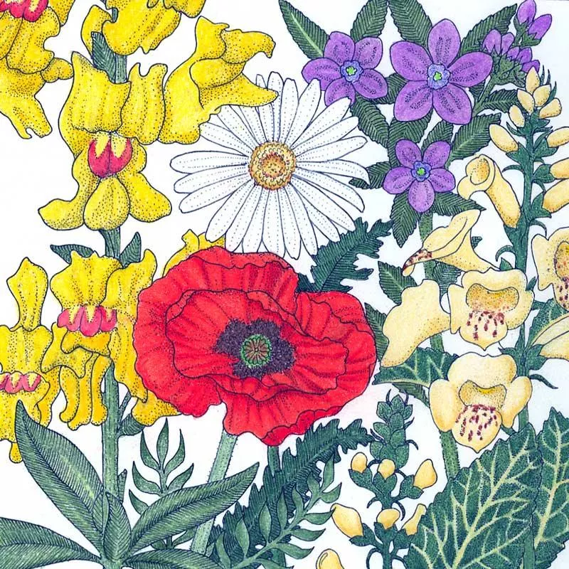 North American Shade Wildflower Mix (lb)