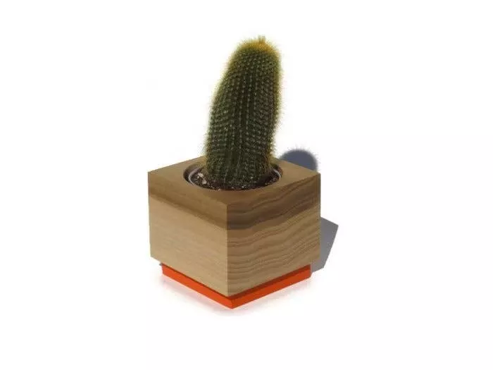 orange-succulent-planter Orange Succulent Planter