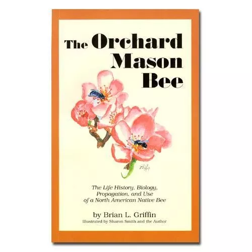 orchard-mason-bee The Orchard Mason Bee