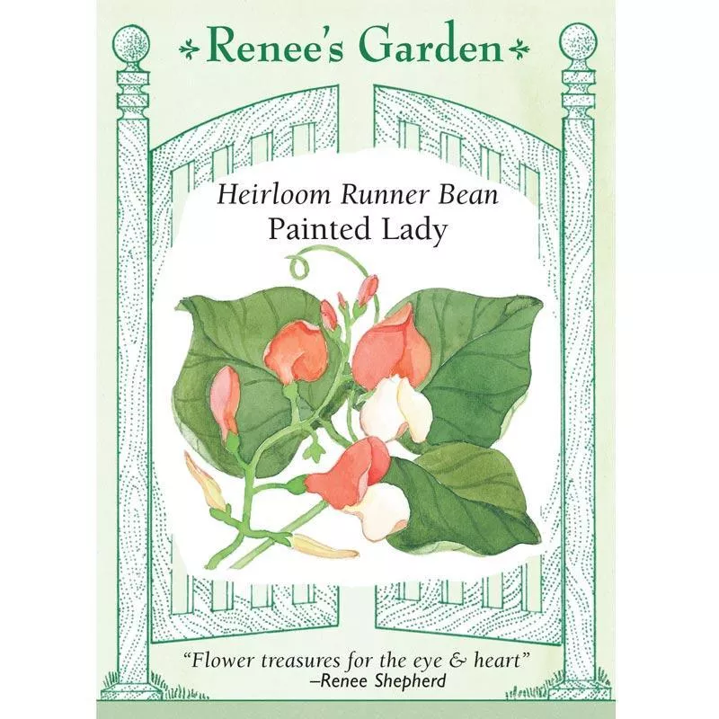 painted-lady-heirloom-runner-bean-seeds ‘Painted Lady’ Heirloom Runner Bean Seeds