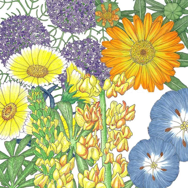 peaceful-valley-flowering-pollinator-mix-lb Peaceful Valley Flowering Pollinator Mix (lb)