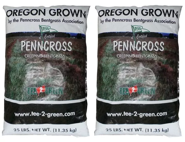 penncross-coated-bentgrass-seed Penncross Coated Bentgrass Seed