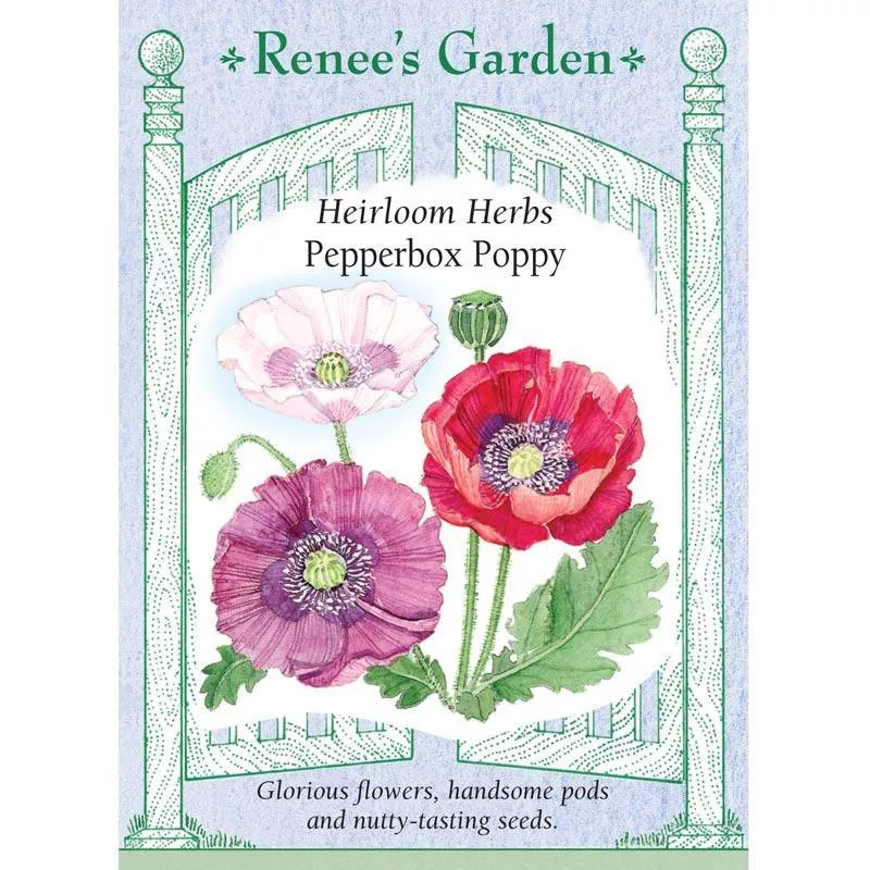 pepperbox-poppy-heirloom-herb-seeds ‘Pepperbox Poppy’ Heirloom Herb Seeds